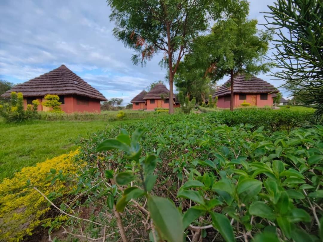 Tangi Safari Lodge Pakwach Exterior foto